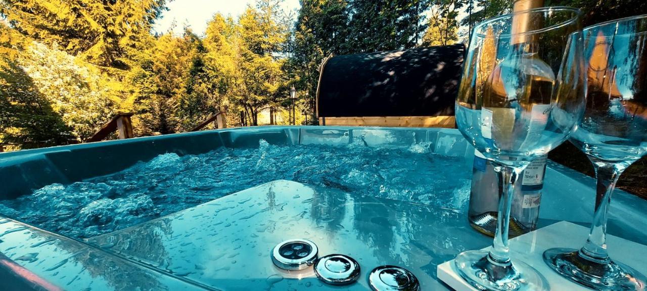 Apartament Widokowy Z Jacuzzi I Sauna Na Wylacznosc - Sikorowka - Dobre Miejsce فيسلا المظهر الخارجي الصورة